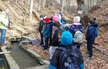 Scoala Profesionala Dumbravita