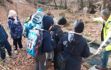 Scoala Profesionala Dumbravita      