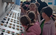 Școala Gimnazială Vasile Alecsandri Baia Mare    