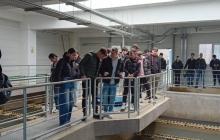 Liceul Tehnologic Anghel Saligny Baia Mare