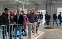 Liceul Tehnologic Anghel Saligny Baia Mare    